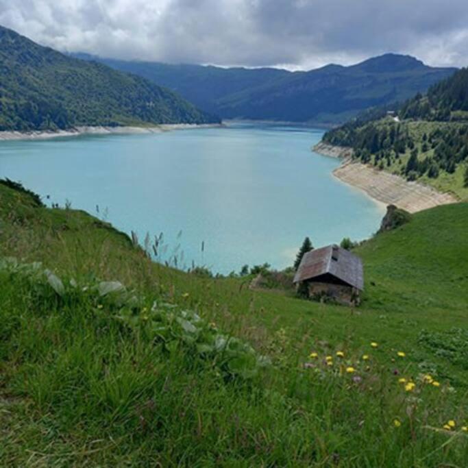 L'Appartement Les Bossons En Lisiere De Foret Dans Le Chalet Genepi Arêches Dış mekan fotoğraf